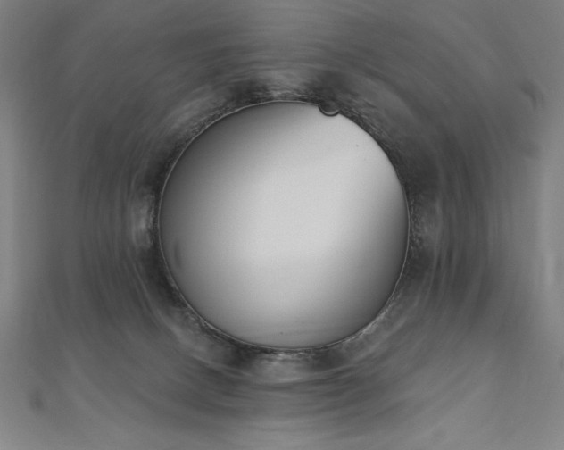 X0000112500082200908171318