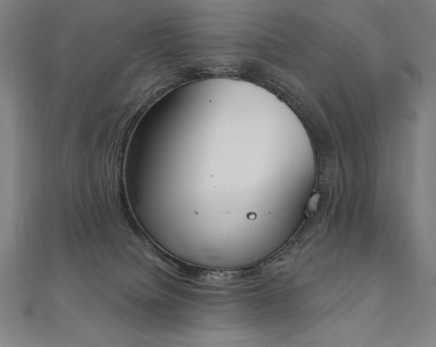 X0000112500084200908171318