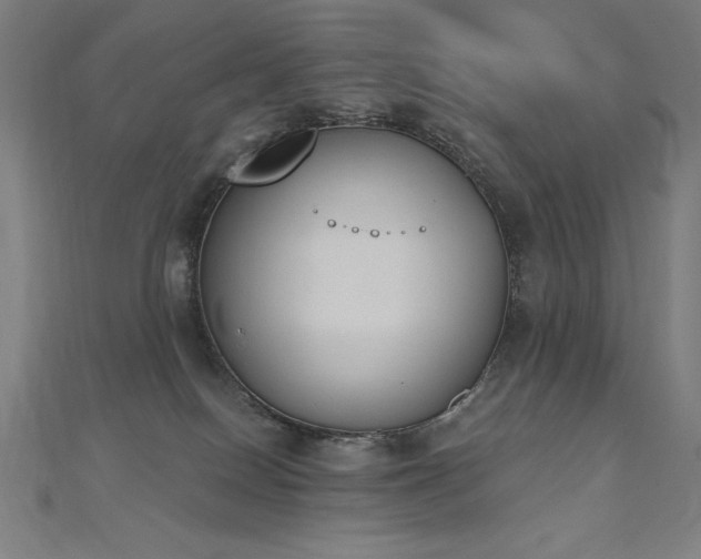 X0000112500086200908171319