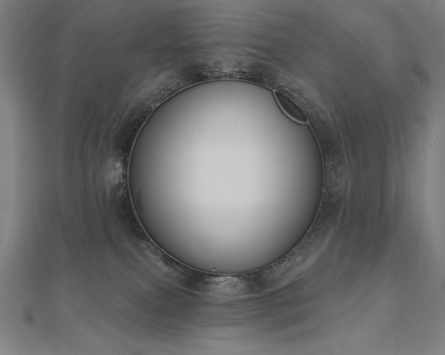 X0000112500087200908171319