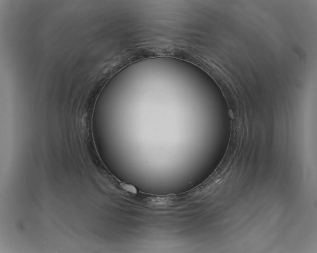 X0000112500088200908171319