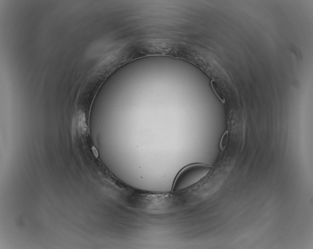 X0000112500089200908171319