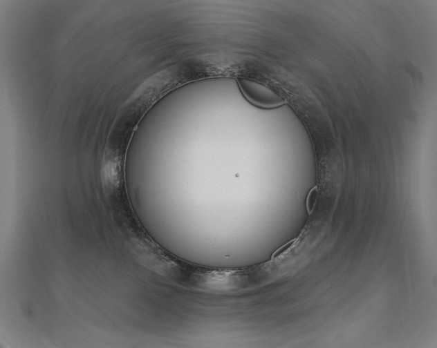 X0000112500090200908171319