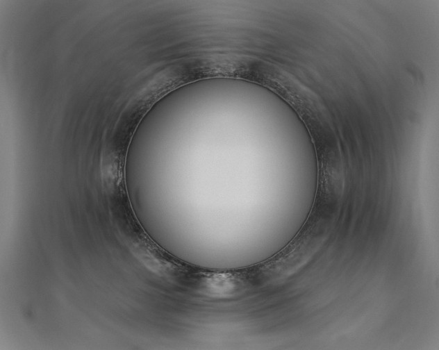 X0000112500091200908171319