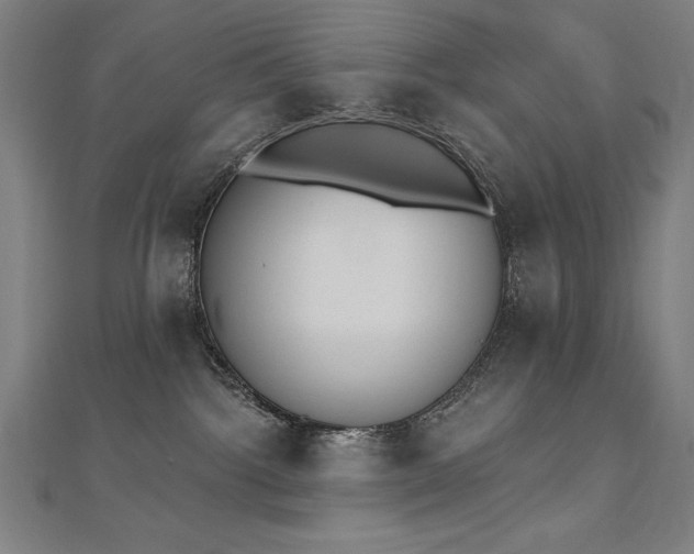 X0000112500092200908171319