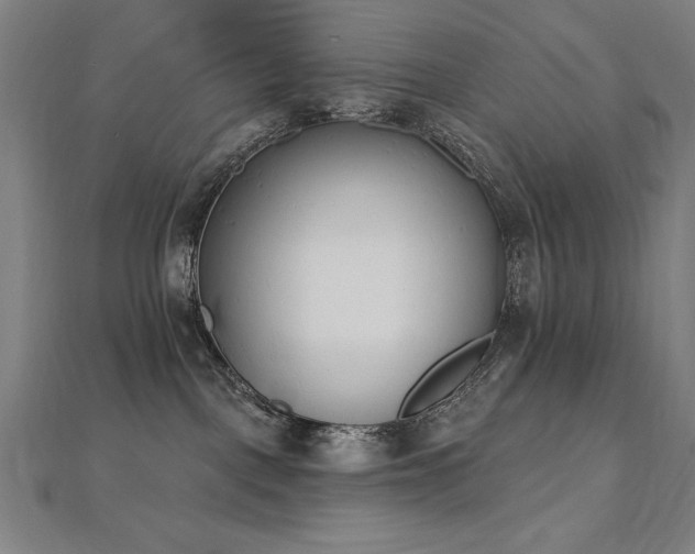 X0000112500093200908171319