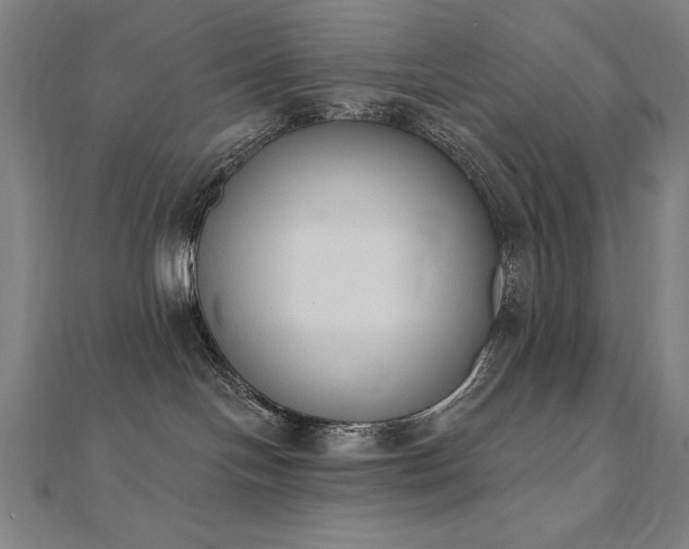 X0000112500094200908171319