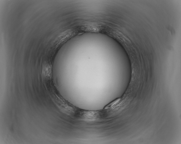 X0000112500096200908171319