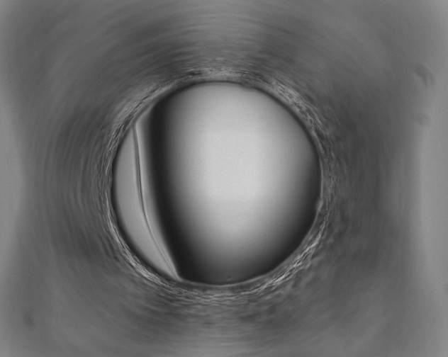 X0000112500097200908171318