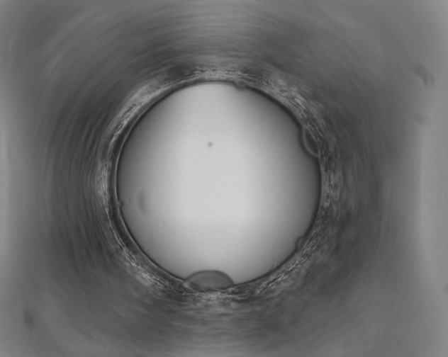 X0000112500098200908171318