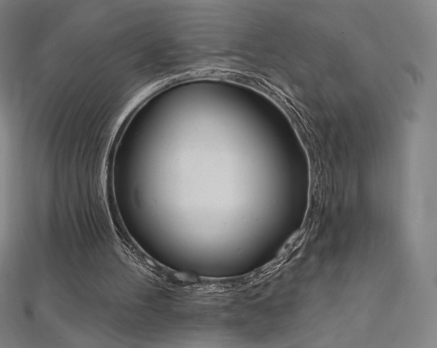 X0000112500100200908171318