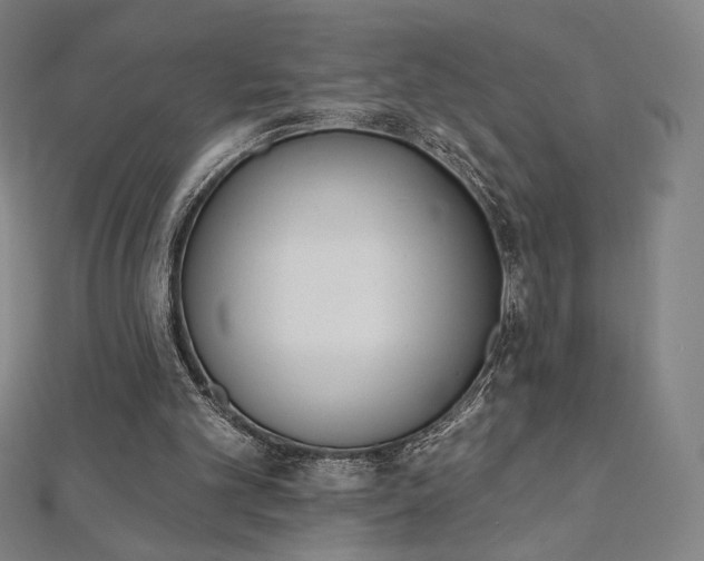 X0000112500101200908171318