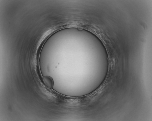 X0000112500102200908171318