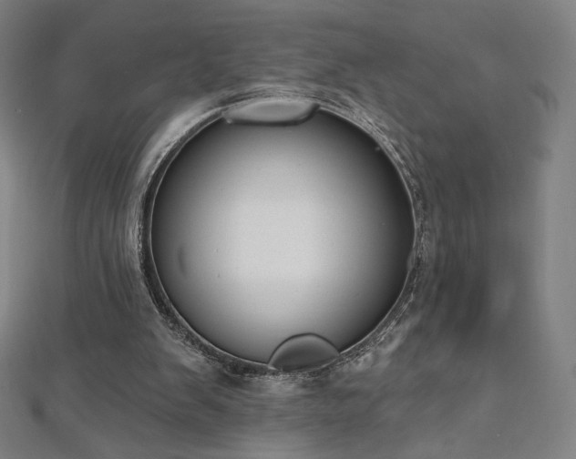 X0000112500103200908171318