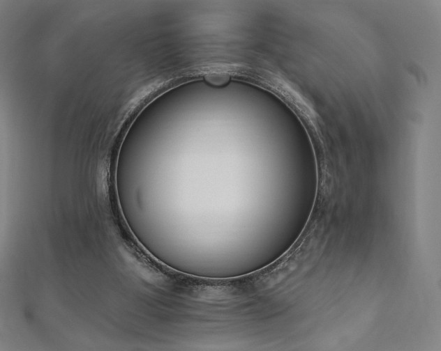 X0000112500107200908171318