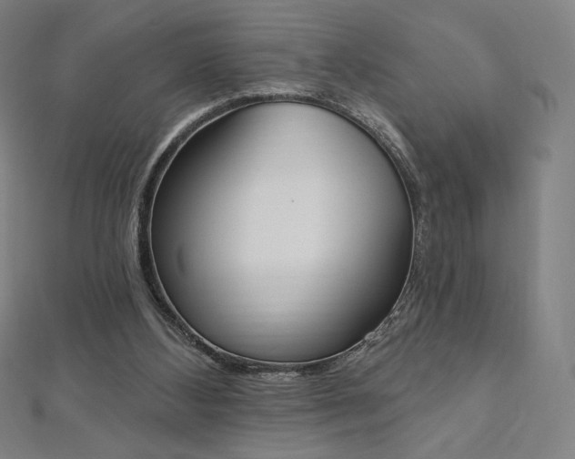 X0000112500108200908171318