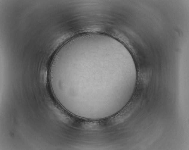 X0000112500110200908171318