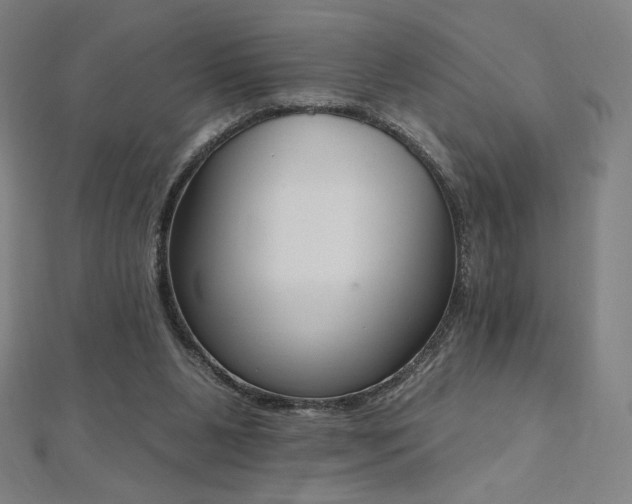 X0000112500111200908171318