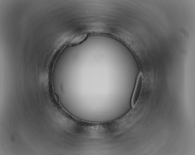 X0000112500112200908171318