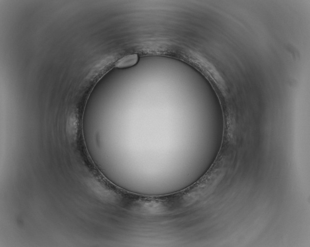 X0000112500113200908171318