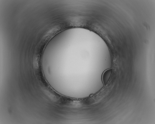 X0000112500114200908171318