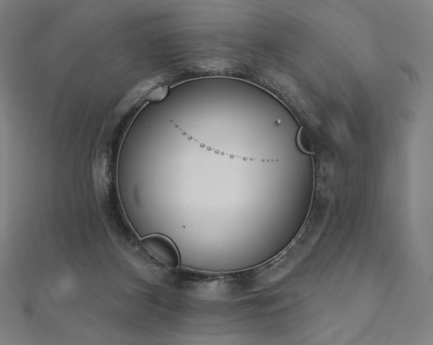 X0000112500116200908171318