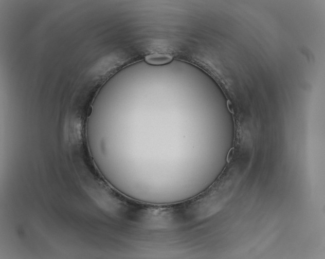 X0000112500117200908171318