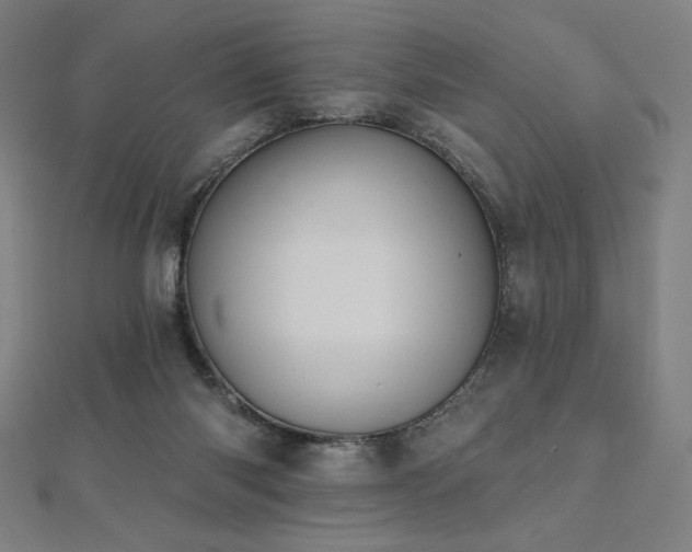 X0000112500118200908171318