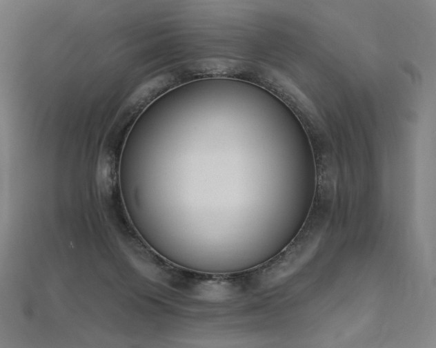 X0000112500119200908171318