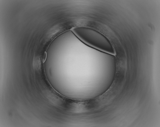 X0000112500120200908171318