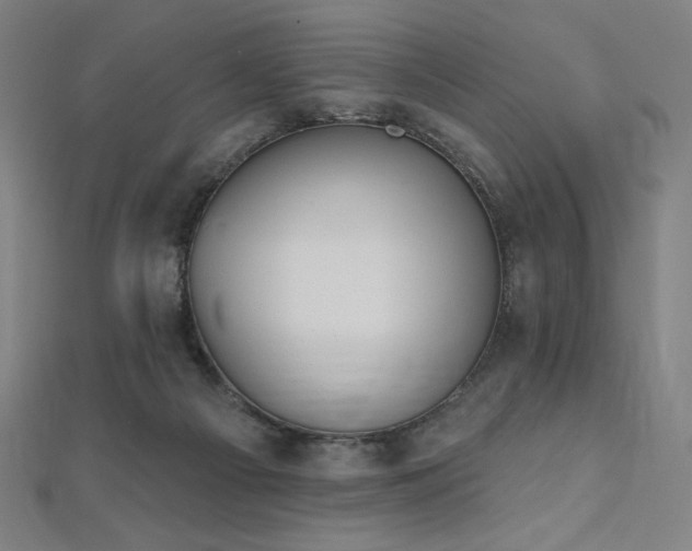 X0000112500121200908171318