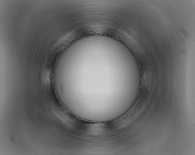 X0000112500122200908171318