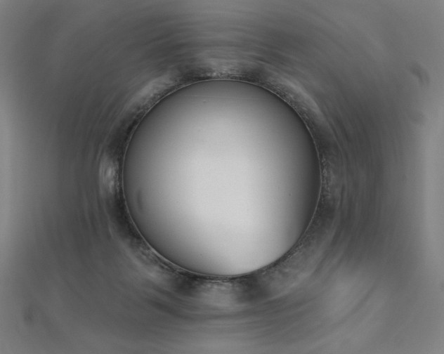 X0000112500123200908171318