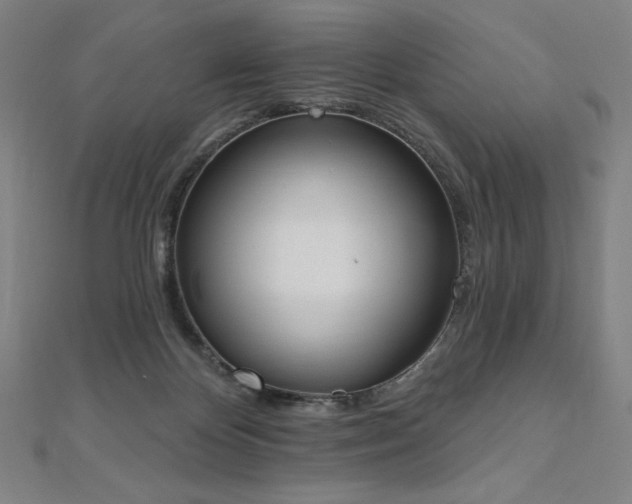 X0000112500124200908171318