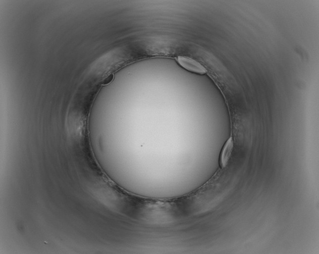 X0000112500125200908171318