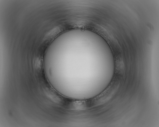 X0000112500126200908171318