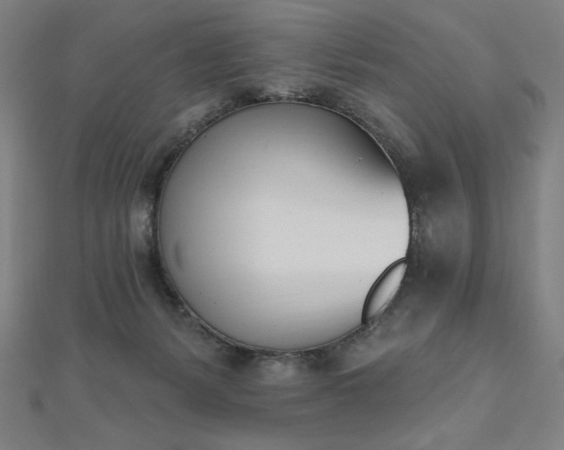 X0000112500127200908171318