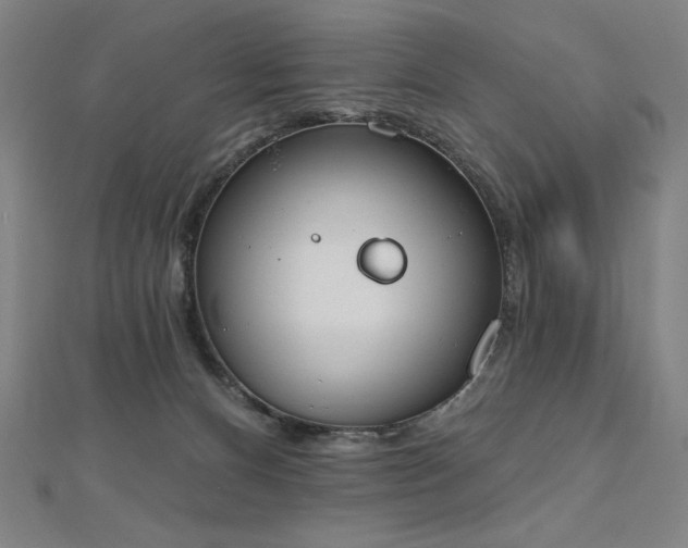 X0000112500128200908171318