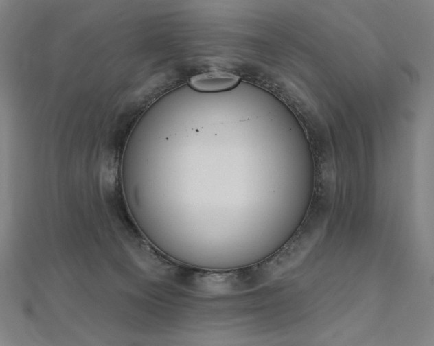 X0000112500129200908171318