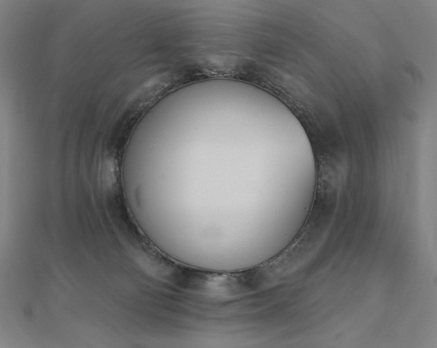 X0000112500130200908171318