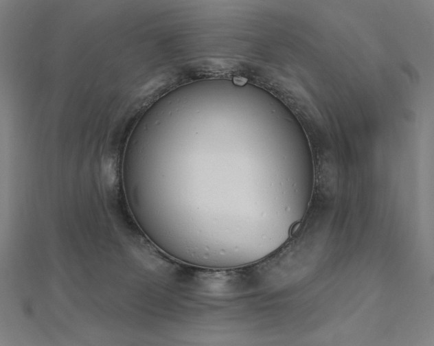 X0000112500131200908171318