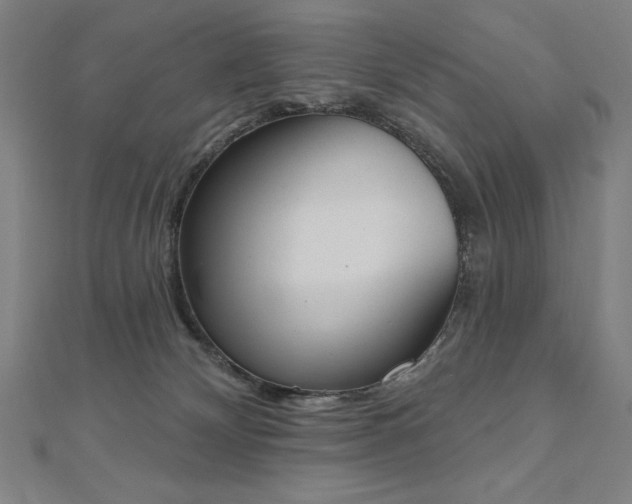 X0000112500132200908171317