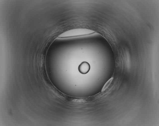 X0000112500133200908171317