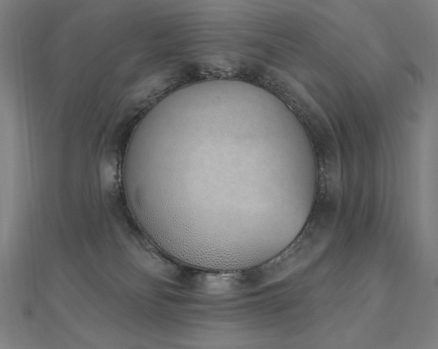 X0000112500134200908171317