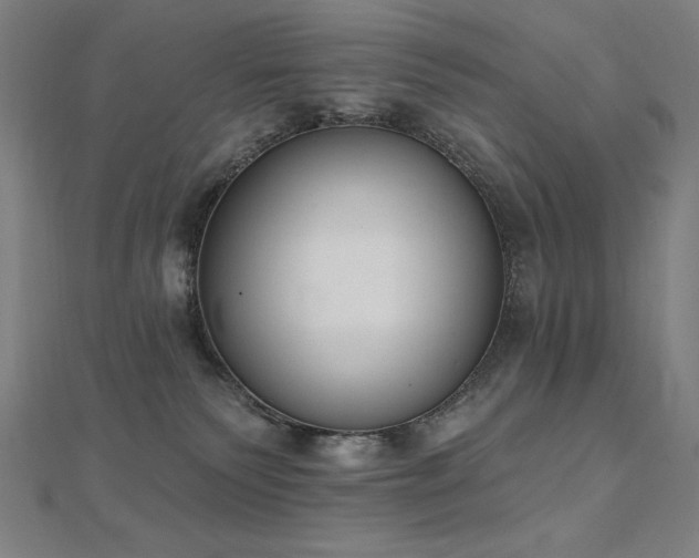 X0000112500135200908171317