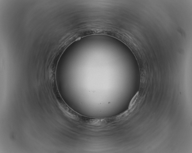 X0000112500136200908171317