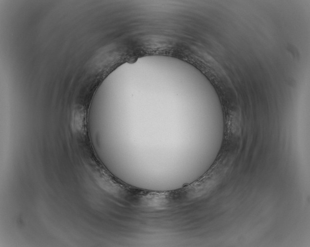 X0000112500138200908171317