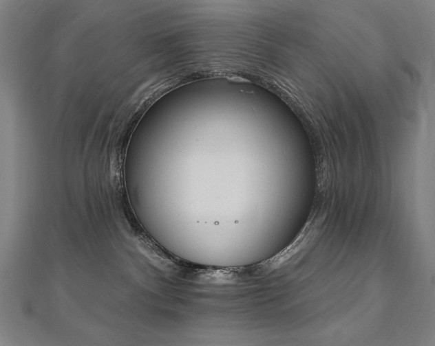 X0000112500140200908171317