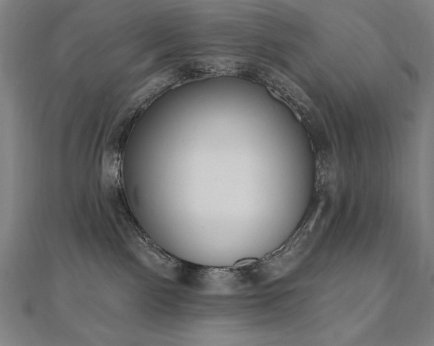 X0000112500141200908171317