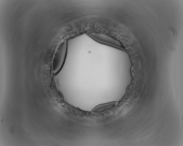 X0000112500144200908171317